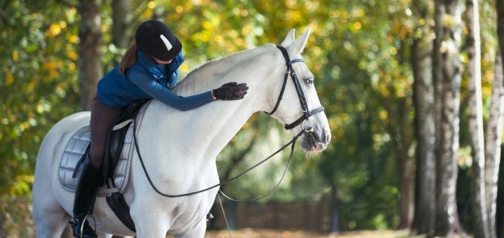 https://cdn1.pokupon.ua/uploaded/new_campaign_pictures/756924/data/main720x340/shutterstock_1867463779.jpg?1617793386