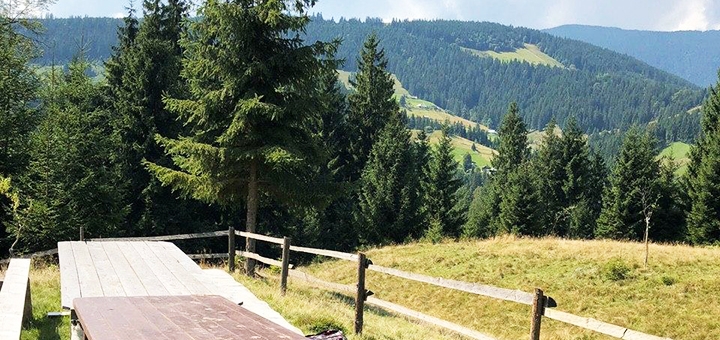 https://cdn1.pokupon.ua/uploaded/new_campaign_pictures/761551/data/main720x340/420210310-246159-wr76i9.jpg?1615378452