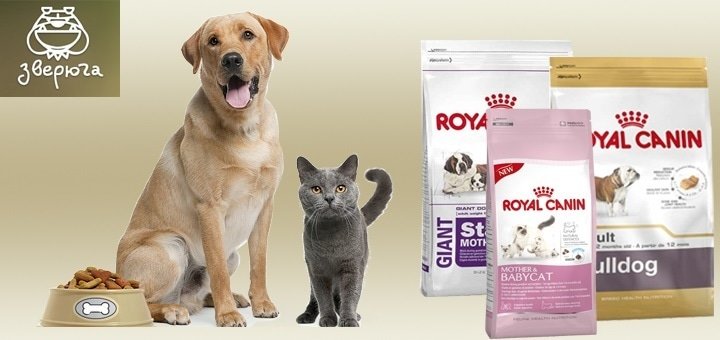 https://cdn1.pokupon.ua/uploaded/new_campaign_pictures/76245/data/main720x340/%D0%9A%D0%BE%D1%80%D0%BC_%D1%80%D0%BE%D1%8F%D0%BB.jpg?1468417170