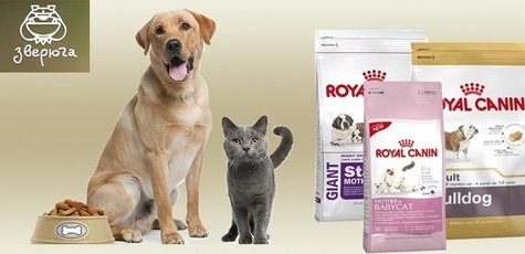 Корм Royal Canin 10кг в магазине «Зверюга» -10%