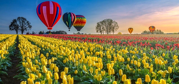 https://cdn1.pokupon.ua/uploaded/new_campaign_pictures/765662/data/main620x292/%D0%B7%D0%B0%D0%B2%D0%B0%D0%BD%D1%82%D0%B0%D0%B6%D0%B5%D0%BD%D0%BD%D1%8F_%281%29_%D0%B2%D0%B5%D1%8020210325-1900909-4cnnjx20210326-2347639-pbw7vy.jpg?1616751322