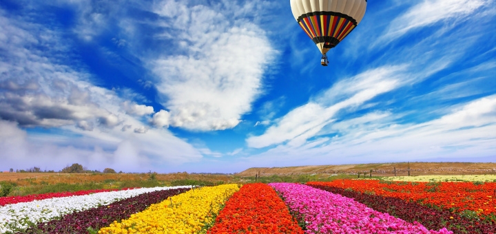 https://cdn1.pokupon.ua/uploaded/new_campaign_pictures/765671/data/main720x340/Fields_Ranunculus_Sky_499298_%D0%B2%D0%B5%D1%8020210325-1900909-1jnbfw820210326-2347639-uwnuuu.jpg?1616751324
