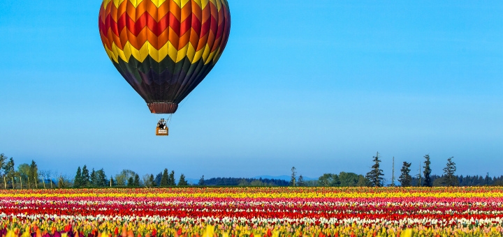 https://cdn1.pokupon.ua/uploaded/new_campaign_pictures/765672/data/main720x340/up-up-and-away-blue-skies-tulip-field-wallpaper_%D0%B2%D0%B5%D1%8020210325-1900909-1l69vtu20210326-2347639-pi9rxd.jpg?1616751324