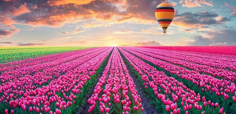 50% discount on flights over Dobropark