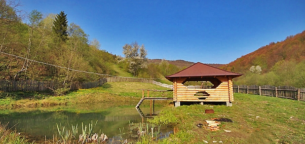 https://cdn1.pokupon.ua/uploaded/new_campaign_pictures/766580/data/main620x292/out19.jpg?1617096693