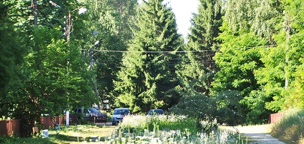 https://cdn1.pokupon.ua/uploaded/new_campaign_pictures/767307/data/main620x292/DSC_0352.jpg?1617280738