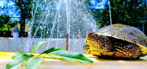 https://cdn1.pokupon.ua/uploaded/new_campaign_pictures/770146/data/main620x292/7d6aefeb8be59402bd8e45ad9a451a6320200227-24644-1lp1qs920210415-240519-1prptps.jpg?1618493355
