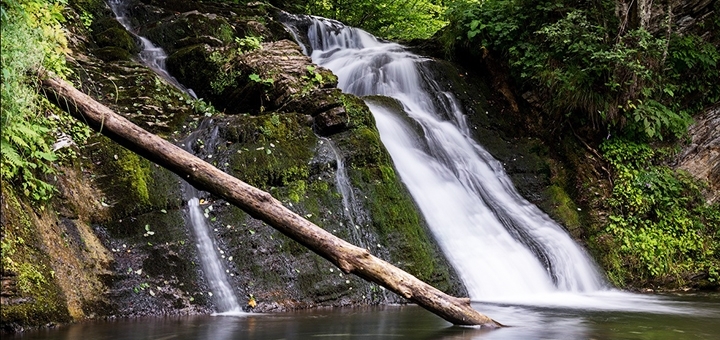 https://cdn1.pokupon.ua/uploaded/new_campaign_pictures/773041/data/main720x340/01.jpg?1619593280