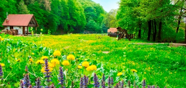 https://cdn1.pokupon.ua/uploaded/new_campaign_pictures/773901/data/main620x292/5ac62e1b712b2694621469.jpg?1619780336
