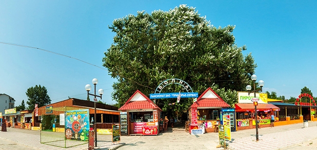 https://cdn1.pokupon.ua/uploaded/new_campaign_pictures/773982/data/main620x292/crop_%D0%B6%D0%BF12-120210429-3146-cfyg4n20210429-3130-qzeiy920210429-3478569-13uhrs220210430-270500-xwu1ky20210430-253608-1as6f8g.jpg?1619792151