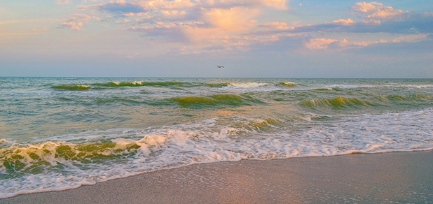 https://cdn1.pokupon.ua/uploaded/new_campaign_pictures/775616/data/main620x292/shutterstock_597936629.jpg?1620932714