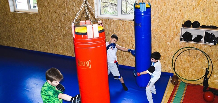Акция на До 3 місяців занять боксом для дорослих і дітей от Pokupon - 3