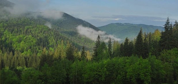 https://cdn1.pokupon.ua/uploaded/new_campaign_pictures/77771/data/main620x292/720x8.jpg?1469190619