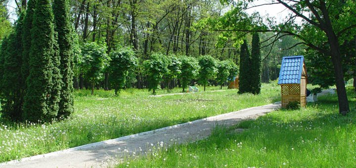 https://cdn1.pokupon.ua/uploaded/new_campaign_pictures/77890/data/main720x340/720x1.jpg?1469434604