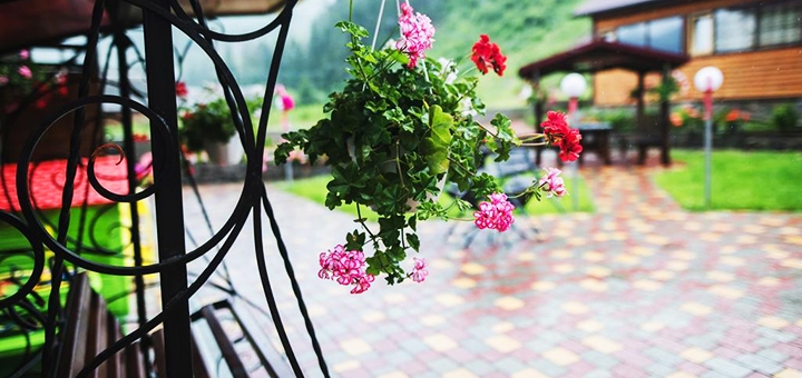 https://cdn1.pokupon.ua/uploaded/new_campaign_pictures/781211/data/main720x340/155341106.jpg?1623670990