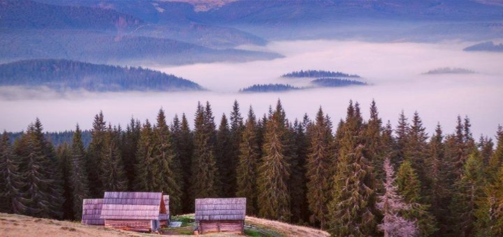 https://cdn1.pokupon.ua/uploaded/new_campaign_pictures/78222/data/main720x340/72_%D0%BA%D0%BE.jpg?1469539459
