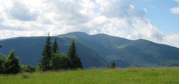 https://cdn1.pokupon.ua/uploaded/new_campaign_pictures/78223/data/main620x292/kvasi.jpg?1469539460