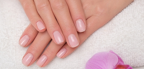 Маникюр и педикюр со SPA-процедурой в «The Salon»