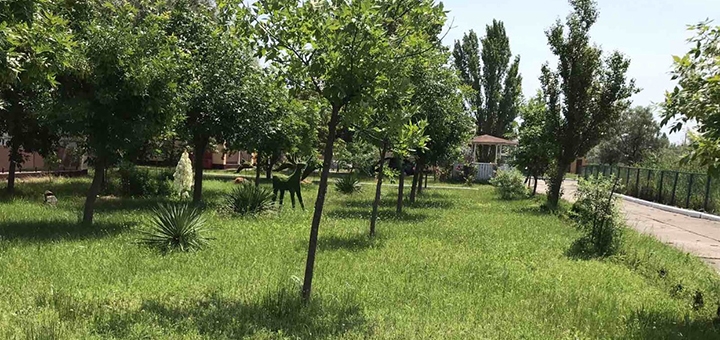 https://cdn1.pokupon.ua/uploaded/new_campaign_pictures/782774/data/main720x340/IMG_1110.jpg?1624530757