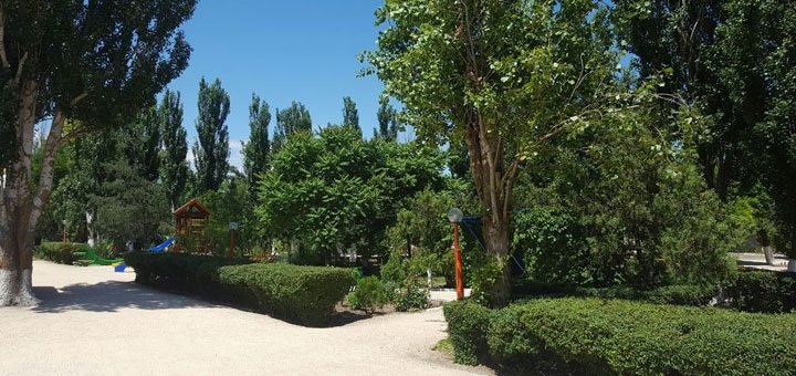 https://cdn1.pokupon.ua/uploaded/new_campaign_pictures/785496/data/main720x340/12.jpg?1626434639