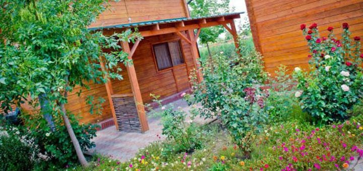 https://cdn1.pokupon.ua/uploaded/new_campaign_pictures/78732/data/main720x340/720x13.jpg?1469793073