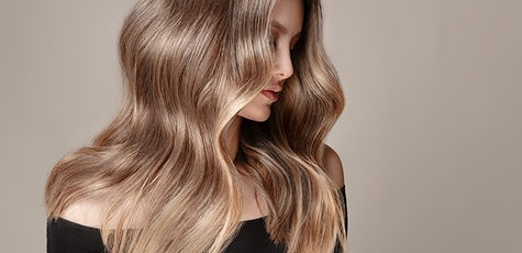 Haircut, styling, hair lamination, coloring