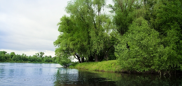 https://cdn1.pokupon.ua/uploaded/new_campaign_pictures/793519/data/main620x292/IMG_3008.jpg?1631211480