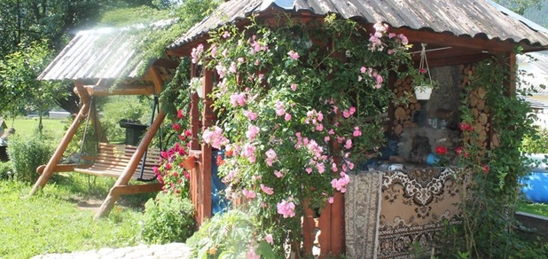 https://cdn1.pokupon.ua/uploaded/new_campaign_pictures/793688/data/main620x292/IMG_6690-1920x1440.jpg?1631523481