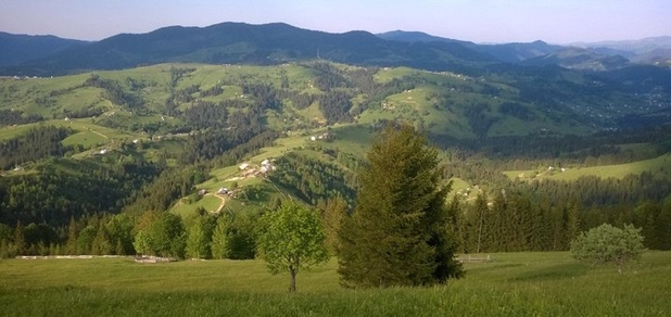 https://cdn1.pokupon.ua/uploaded/new_campaign_pictures/793691/data/main620x292/tufli-iz-naturalnoy-lakovoy-kozhi-bezhevogo-cv--713-1920x1440.jpg?1631523482