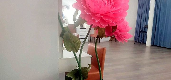 https://cdn1.pokupon.ua/uploaded/new_campaign_pictures/794006/data/main720x340/33.jpg?1631689822