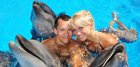 Discount for swimming with dolphins in «Nemo»