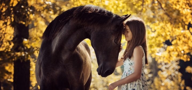 https://cdn1.pokupon.ua/uploaded/new_campaign_pictures/800462/data/main620x292/shutterstock_1170866035.jpg?1634884280