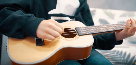 Vocal Lessons, Playing Guitar at «Maestro Music» 