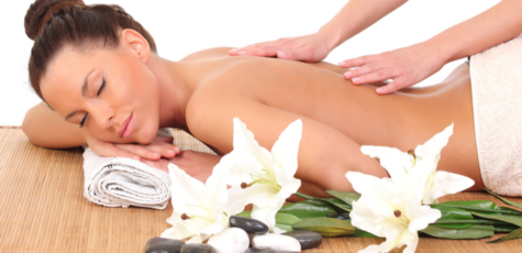 SPA-program "Tropical relaxation"