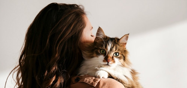 https://cdn1.pokupon.ua/uploaded/new_campaign_pictures/805006/data/main620x292/new_cat.jpg?1638777044