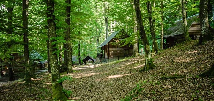 https://cdn1.pokupon.ua/uploaded/new_campaign_pictures/806188/data/main720x340/IMG_5852.jpg?1636710303