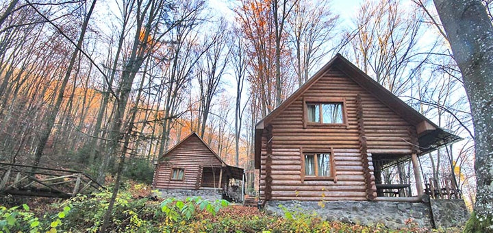 https://cdn1.pokupon.ua/uploaded/new_campaign_pictures/806393/data/main720x340/1.jpg?1636717304