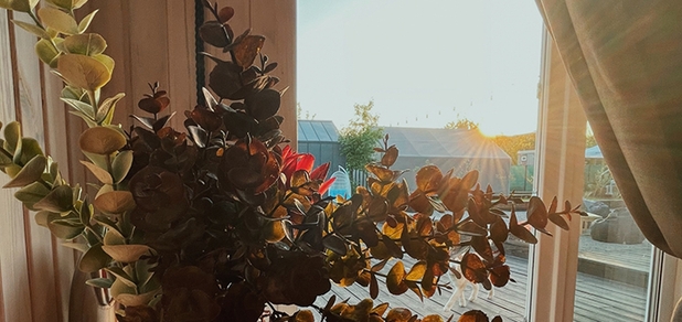 https://cdn1.pokupon.ua/uploaded/new_campaign_pictures/808883/data/main620x292/2411-2.jpg?1637763070