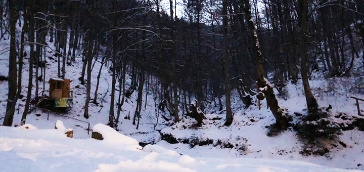 https://cdn1.pokupon.ua/uploaded/new_campaign_pictures/810523/data/main720x340/nbdkpnopenocpebb.jpeg?1638363287