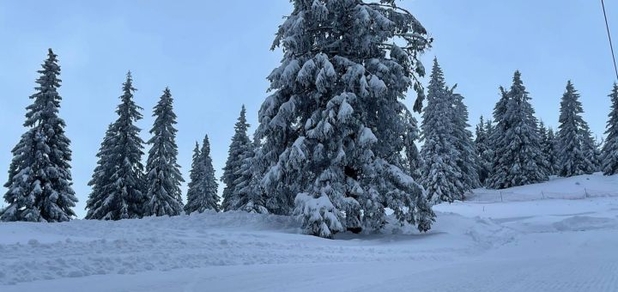 https://cdn1.pokupon.ua/uploaded/new_campaign_pictures/811921/data/main620x292/IMG_5661.JPG?1638905233