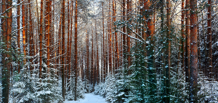 https://cdn1.pokupon.ua/uploaded/new_campaign_pictures/821418/data/main720x340/shutterstock_329834117.png?1643977774