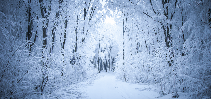 https://cdn1.pokupon.ua/uploaded/new_campaign_pictures/821419/data/main720x340/shutterstock_114635365.png?1643977775