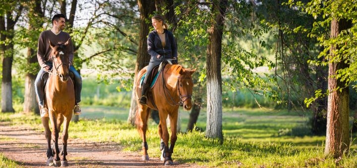 https://cdn1.pokupon.ua/uploaded/new_campaign_pictures/823461/data/main720x340/shutterstock_427131805.jpg?1645002678
