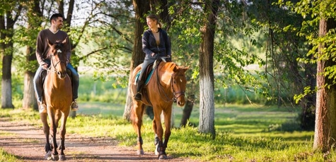 Прогулянка на конях від клубу «Golden horse»