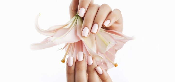 https://cdn1.pokupon.ua/uploaded/new_campaign_pictures/826706/data/main720x340/shutterstock_316319060.jpg?1651739414