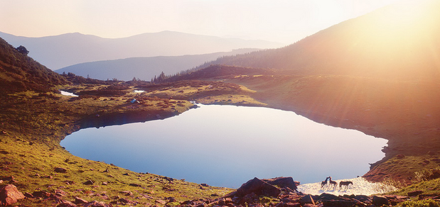 https://cdn1.pokupon.ua/uploaded/new_campaign_pictures/845238/data/main620x292/LitoVorozheska.png?1664522592