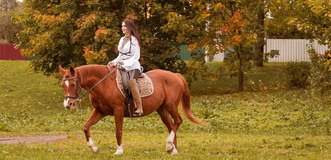 Discount on Horseback Riding from «Positive»