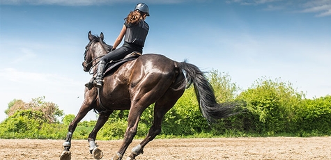 Discount on Riding Lessons from the Pozitiv Stable