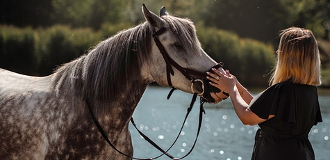 Фотосесія на конях у «Family_horse_club»