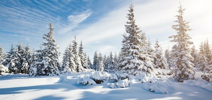 https://cdn1.pokupon.ua/uploaded/new_campaign_pictures/851080/data/main720x340/shutterstock_519397579.jpg?1669219564